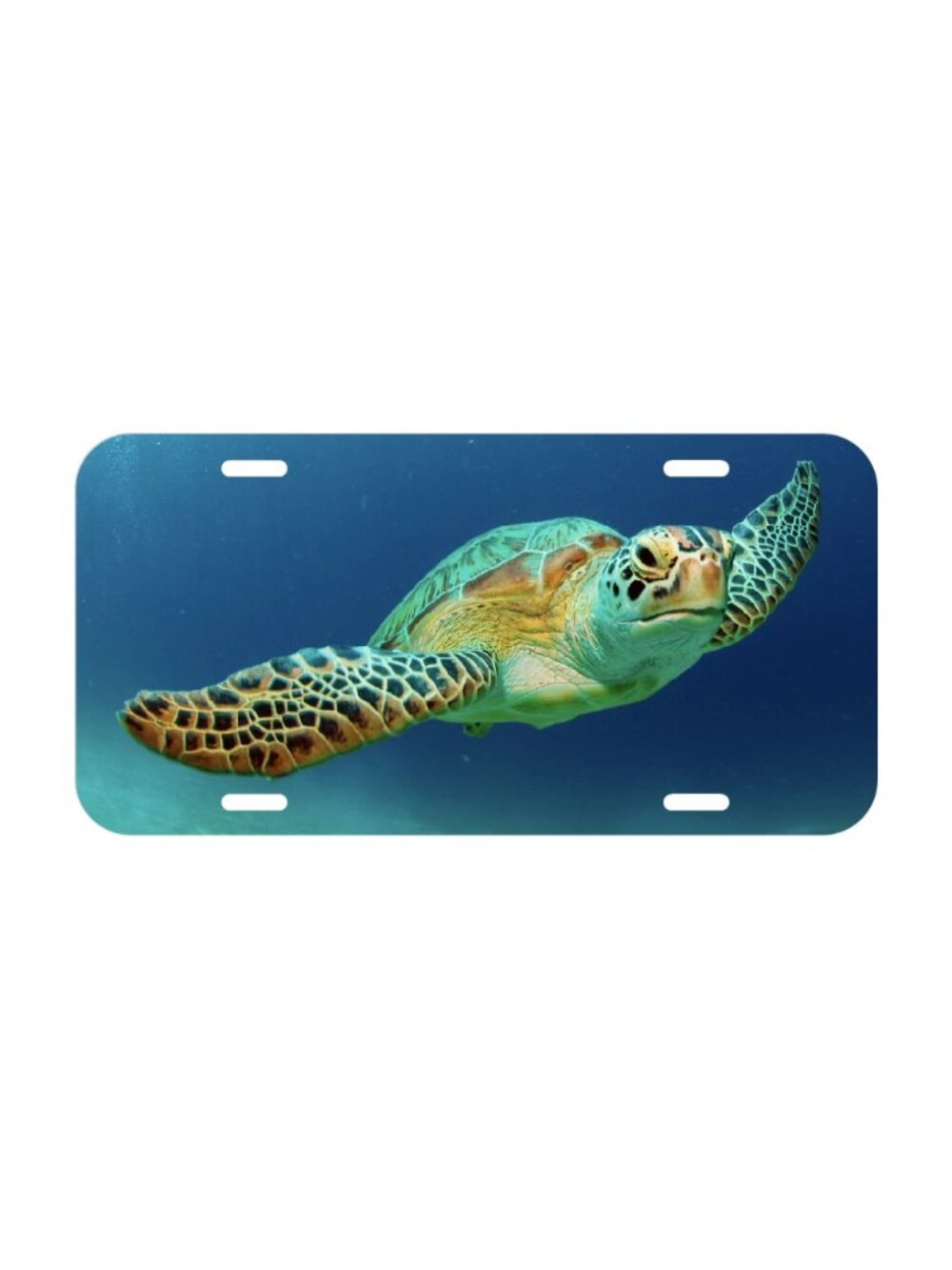 Sea Turtle License Plate Front Black Auto Tag Plate Ocean Beach Loggerhead New